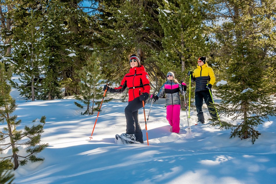 ESF snowshoe walks