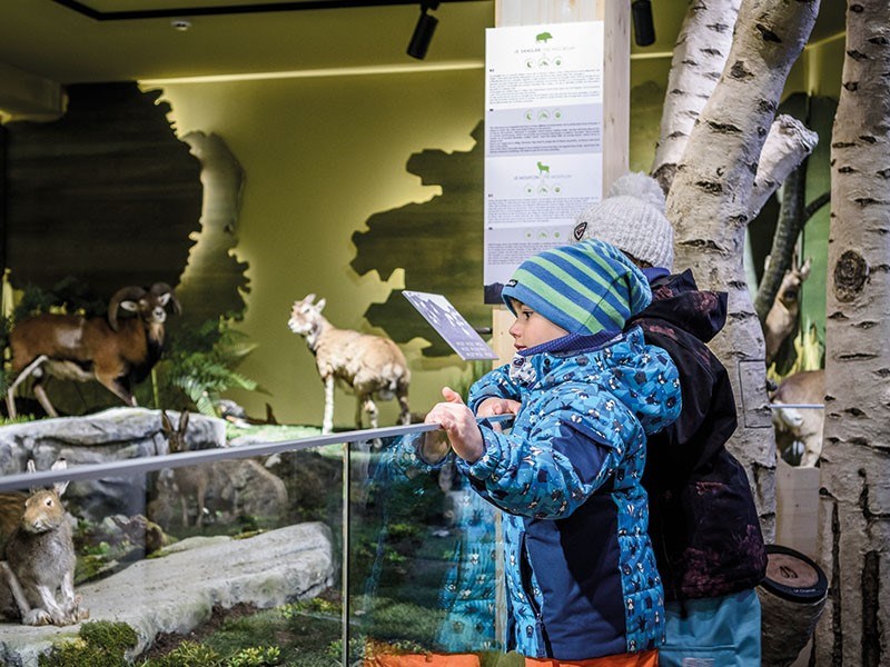 Un muséum pédagogique et ludique inattendu